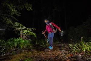 BIB: 
                            <button type="button" onclick="openModal(19247523)" class="btn btn-primary btn-sm float-right btn-popup" data-toggle="modal" data-target=".modal-high-quality">
                        <i class="fas fa-shopping-cart"></i> Add to Cart
                    </button>
                                            <button type="button" onclick="isThisMe(19247523, true)" class="btn btn-success btn-sm float-right btn-popup btn-isme hidden" data-toggle="tooltip" data-placement="bottom" title="นี่คือรูปของคุณใช่ไหม คลิกที่นี่เพื่อเอาเข้าอัลบั้ม">
                        <i class="fas fa-plus"></i> Add to album
                    </button>
                    <button type="button" onclick="isThisMe(19247523, false)" class="btn btn-warning btn-sm float-right btn-popup btn-isnotme hidden">
                        <i class="fas fa-ban"></i> Remove from album
                    </button>